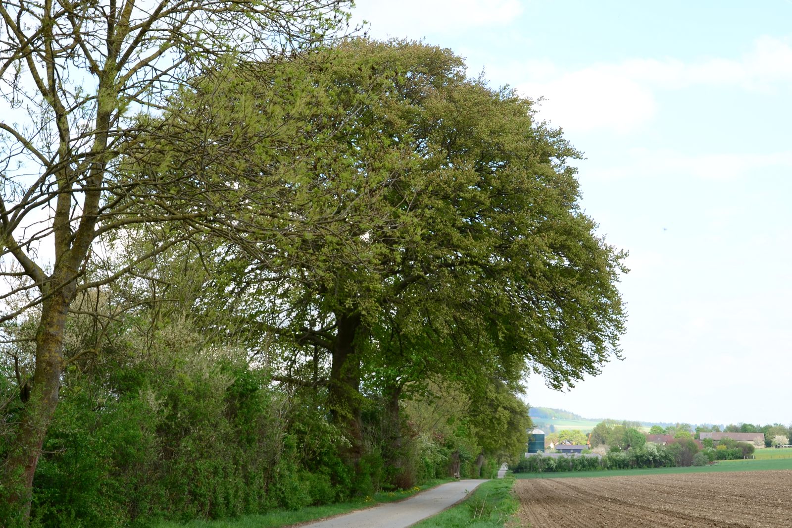 Im Südwesten von Büren