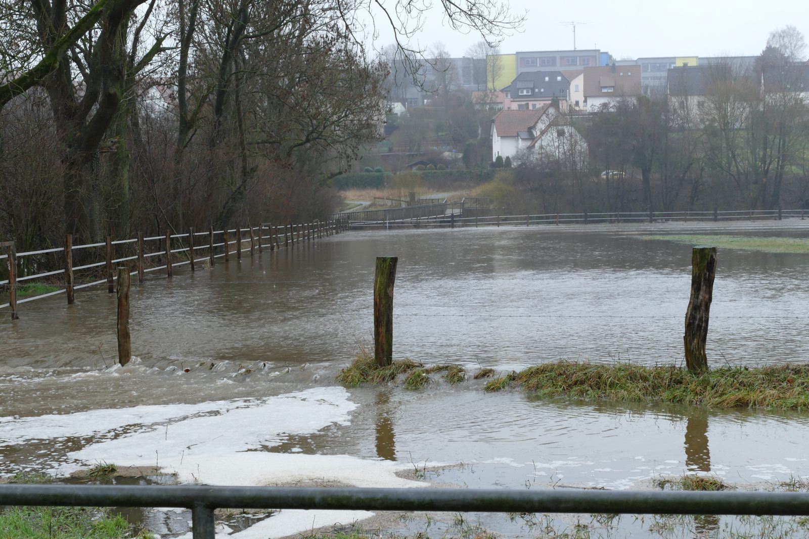 In den Almeauen: 06.01.2019