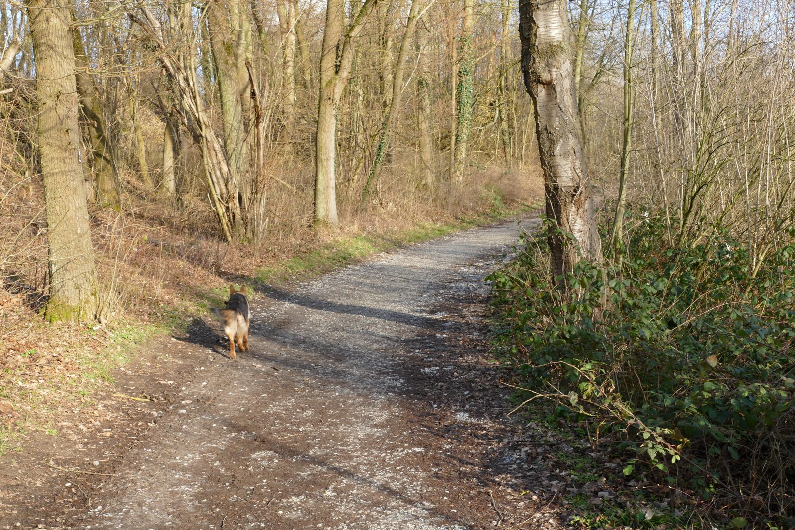 Ein beliebter Wanderweg