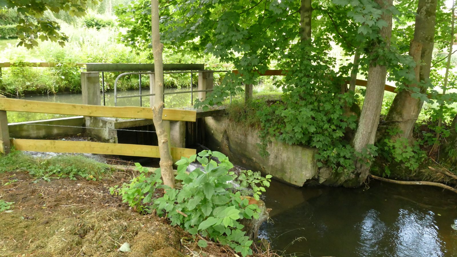 Kleines Wehr vor der Mühle am Brüggenweg