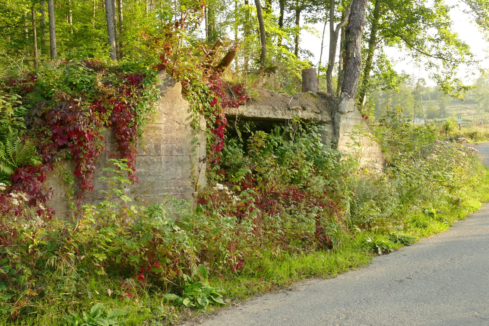 Ehemalige Bunkergebäude im Ringelsteiner Wald (Muna-Gelände)