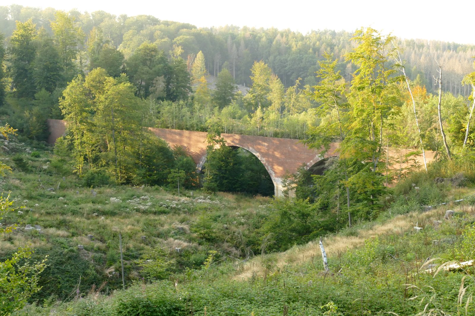 Unterer Viadukt im Ringelsteiner Wald, jetzt gesperrt