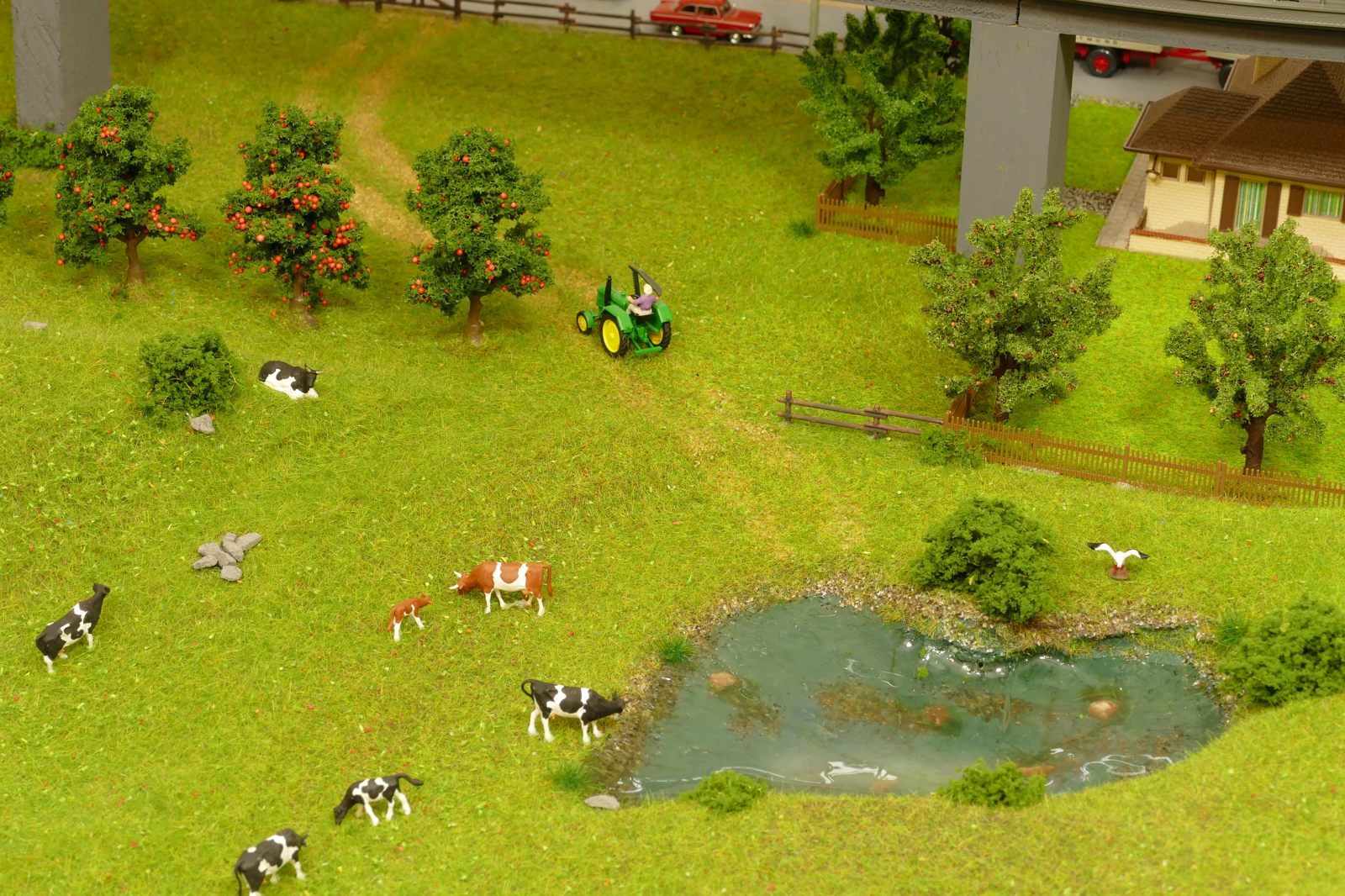 Weiden zwischen Büren und Silbach