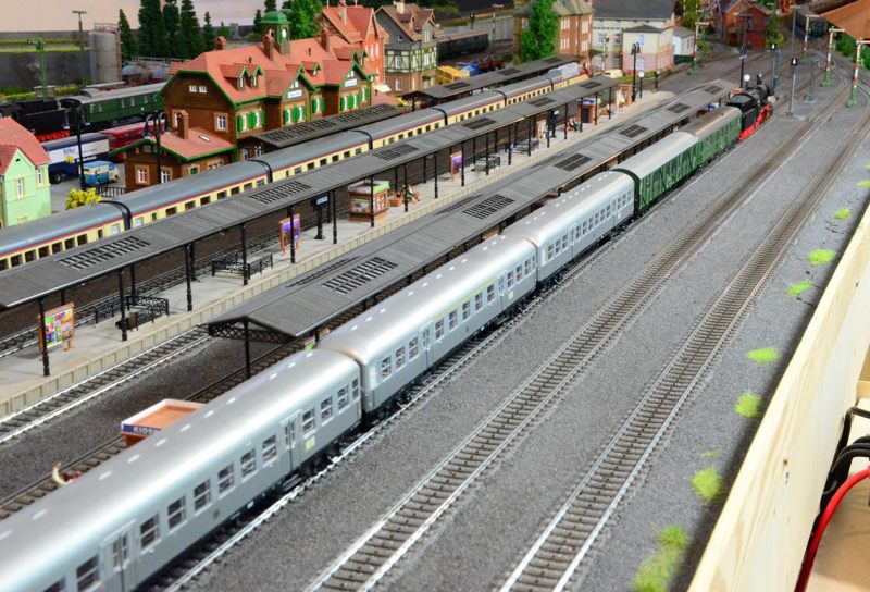 Heckeneilzug_hinten_BrilonWald