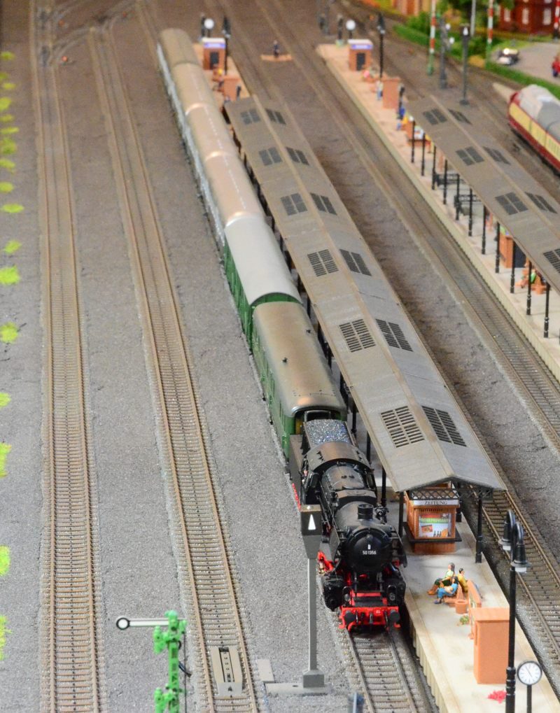 Heckeneilzug_vorn_BrilonWald